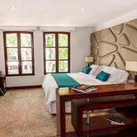Hotel Virrey Park 
