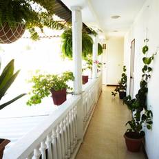 Hotel Santa Cruz 