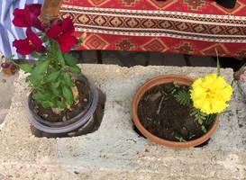 Three Jugs B&B 