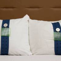 Holiday Inn Raleigh North (Capital Boulevard) 