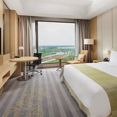 Holiday Inn Nanyang 