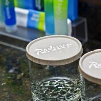 Radisson Suites Hotel Toronto Airport