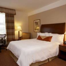 Hilton Garden Inn Rochester Downtown 