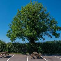 Best Western Leicester Stage Hotel 