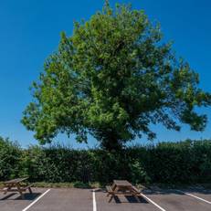 Best Western Leicester Stage Hotel 