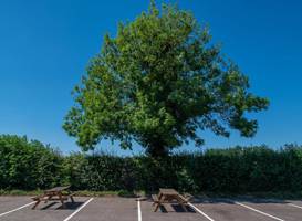 Best Western Leicester Stage Hotel 