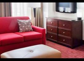 Hampton Inn & Suites Atlanta-Downtown 