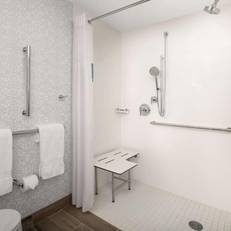 Hampton Inn Baltimore-Downtown-Convention Center 
