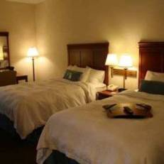 Hampton Inn Albany-Wolf Road 