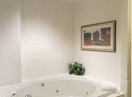 Crowne Plaza Hotel Springfield 