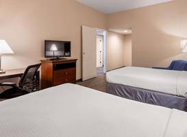 Best Western Tampa 