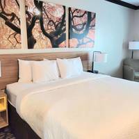 Best Western Plus Siegen Inn 