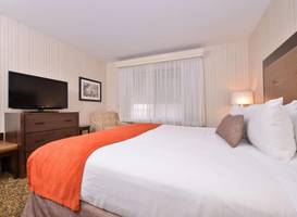 Best Western Plus Big America 