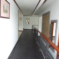Tang House Bed and Breakfast 