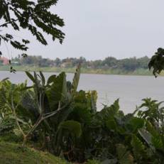 Mut Mee Garden Guest House 