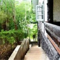 Sam's Jungle Guesthouse 