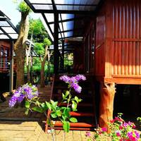 Wood House Pattaya 