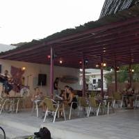 Purple Pig Stars Camping & Bungalows 