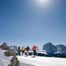 Adler Dolomiti Spa & Sport Resort 