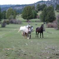 Apartamentos Jucar - Hotel Rural 