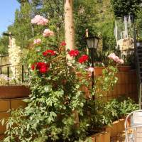 Hostal Carme Pascual 
