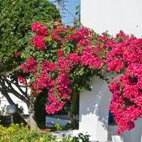 Dilino Hotel Studios 