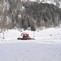 Hotel Flora Alpina 