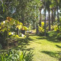 Hacienda San Jorge 