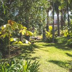 Hacienda San Jorge 