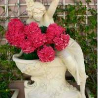 Grand Hotel Cervia 