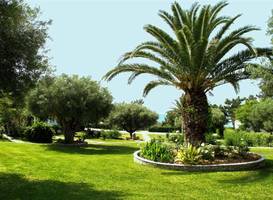 Trikorfo Beach 