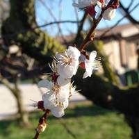 Podere 1248 
