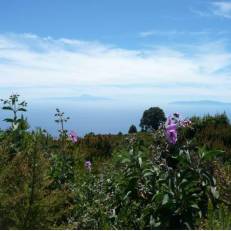 El Porvenir 