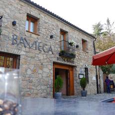 Bavieca 