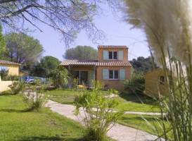 Palmiers de Palombaggia 