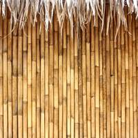Bamboo Bamboo 