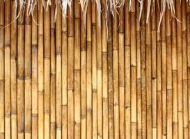 Bamboo Bamboo 