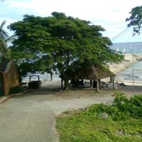 Panglao Palms Apartelle 
