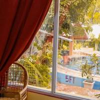 Deep Forest Garden Inn 