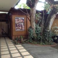 Tia Mers Guest House 