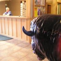 White Buffalo Hotel 