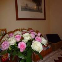 Bayview Guest House