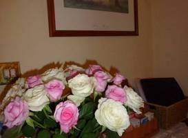 Bayview Guest House