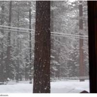 Knotty Pine Cabin 
