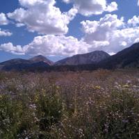 Snowcreek Resort 