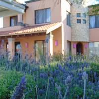 Hotel Feregrino 