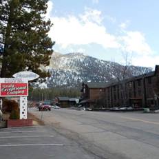 Paradice Motel 