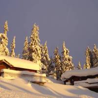 Nordseter Fjellpark, Hyttegrend 