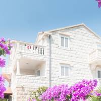 Apartments Barba Petra Dvori 