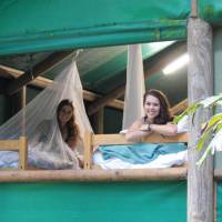 Daintree Crocodylus Village 